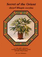 Link to information to Rhapis palm book.