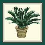 Link to Sago Palm articles